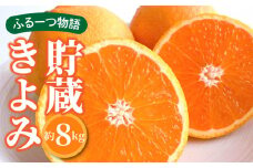【ふるさと納税】【先行予約】【配送不可地域：北海道・沖縄県・離島】ふるーつ物語「貯蔵きよみ」約8kg  秋 旬