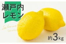 【ふるさと納税】【先行予約】【配送不可地域：北海道・沖縄県・離島】 レモン 約 3kg 18～30個前後 瀬戸内レモン 国産 皮まで 丸ごと 使える 三豊市産 果物 フルーツ 柑橘類 お取り寄せ 送料無料  レモン 国産 れもん 檸檬 lemon オーガニック 瀬戸内 有機レモン