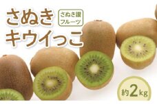 【ふるさと納税】【先行予約】 【配送不可地域：北海道・沖縄県・離島】キウイ 約 2kg 40～80玉 さぬきキウイっこ 国産 一口サイズ 可愛い 香川県 果物 フルーツ さぬき讃フルーツ オリジナルキウイ 糖度が高く 酸味が少ない お取り寄せ お取り寄せフルーツ 送料無料