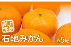【ふるさと納税】【先行予約】【配送不可地域：北海道・沖縄県・離島】みかん 約 5kg L～S サイズ 樹上完熟 石地ミカン 皮 剥きやすい 内皮薄い 食べやすい 糖度高い 三豊市 果物 フルーツ 柑橘類 お取り寄せ お取り寄せフルーツ 送料無料  秋 旬