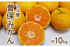【ふるさと納税】【先行予約】【配送不可地域：北海道・沖縄県・離島】みかん 曽保みかん 約 10kg L～Sサイズ フルーツ 果物 果実 柑橘 デザート スイーツ ジューシー 甘い 果汁 常温 食品 国産 香川県 三豊市 極早生みかん お取り寄せ 五色青果 送料無料