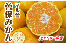 【ふるさと納税】【先行予約】【配送不可地域：北海道・沖縄県・離島】みかん 曽保みかん 光センサー選別 約3kg×2箱 L～Sサイズ フルーツ 果物 果実 柑橘 デザート スイーツ 甘い 糖度 果汁 常温 食品 国産 香川県 三豊市 お取り寄せ 送料無料