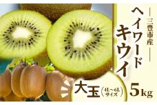 【ふるさと納税】三豊市産　ヘイワードキウイ【大玉】5kg（4L～6Lサイズ　40～35玉前後）