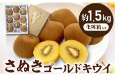 【ふるさと納税】【配送不可地域：北海道・沖縄県・離島】 フルーツ デザート 果物 果実 キウイ オリジナル 黄金色 さぬき讃フルーツ さぬきゴールドキウイ 黄様 約1.5kg 化粧箱入り 糖度 お土産 ギフト 香川県 三豊市 お取り寄せ 送料無料