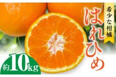 【ふるさと納税】【配送不可地域：北海道・沖縄県・離島】フルーツ デザート 果物 果実 みかん 柑橘 希少 柑橘 はれひめ 約10kg お土産 ギフト 生産量 オレンジ 内皮ごと フルーツ王国 香川県 三豊市 お取り寄せ 送料無料