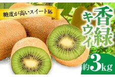 【ふるさと納税】 フルーツ デザート 果物 果実 濃緑色 さぬき讃フルーツ 香緑 キウイ スイート16 約3kg エメラルドグリーン 果肉 お土産 ギフト 香川県 三豊市 お取り寄せ 送料無料