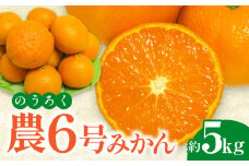 【ふるさと納税】フルーツ デザート 果物 果実 マンダリンオレンジ 高糖度 農6号 みかん のうろく 約5kg 柑橘 農研機構果樹研究所 新品種 お土産 ギフト 風味 香川県 三豊市 お取り寄せ 送料無料