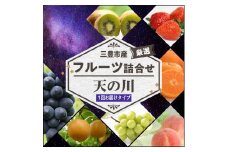 【ふるさと納税】【配送不可地域：北海道・沖縄県・離島】三豊市産の厳選フルーツ詰合せ♪【天の川】