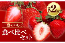 【ふるさと納税】 フルーツ デザート 果物 果実 さぬきひめ 女峰 年内発送 三豊 いちご 食べ比べ セット 約2kg 250g 4パック ギフト お土産 フルーツ王国  香川県 三豊市 お取り寄せ 送料無料  秋 旬