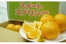 【 小豆島 】スイートスプリング 10kg
