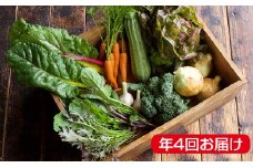 【 小豆島 】瀬戸内小豆島の旬野菜セット 農家直送 年4回お届け