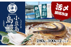 【 小豆島 】『小豆島島鱧』活け締め骨切り瞬間冷凍  新鮮 海の幸