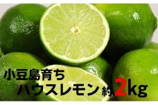 【 小豆島 】小豆島ハウスレモン 約2kg