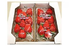 【 小豆島 】小豆島のいちご（女峰）DXパック［ 250ｇ×２パック］