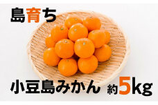 【 小豆島 】小豆島 みかん 約5kg　