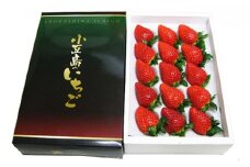 【 小豆島 】【2月からの発送】小豆島のいちご（女峰）400g 化粧箱入り×2箱
