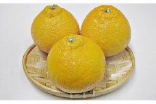 【 小豆島 】小豆島 ハウスデコポン 約5kg