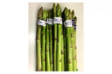【 小豆島 】香川のアスパラ【さぬきのめざめ】春芽 約1kg