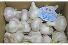 【 小豆島 】島育ち！生にんにく（新物）約２kg