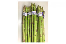 【 小豆島 】島育ち！アスパラ「さぬきのめざめ」夏芽1kg