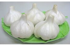 【 小豆島 】島育ち！乾燥にんにく　約1.5kg