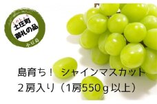 【 小豆島 】島育ち！ハウスシャインマスカット　2房入り 約1.1kg