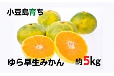 【 小豆島 】小豆島 ゆら早生みかん 約5kg みかん 蜜柑 ミカン ゆら早生 フルーツ 果物 くだもの 国産 香川 香川県 土庄 土庄町