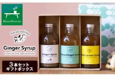 【 小豆島 】 小豆島ジンジャー＆ハニーダイダイシロップ 3本 セット 飲料 飲み物 ドリンク シロップ ジンジャー 生姜 ダイダイ 柑橘 ハニー ギフト 贈り物 ギフトボックス 香川 香川県 土庄 土庄町