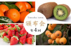 【 小豆島 】【4回お届け】土庄町 季節の果物 定期便 フルーツ 果物 季節 旬 キウイ キウイフルーツ 香緑 いちご 苺 イチゴ 女峰 びわ 茂木びわ みかん 蜜柑 ミカン 温州みかん くだもの 国産 香川 香川県 土庄 土庄町