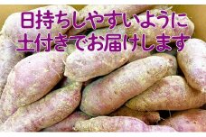 【 小豆島 】小豆島のさつまいも【 紅あずま 約5kg 】 さつまいも サツマイモ 芋 いも イモ 野菜 甘い おやつ 軽食 5kg 国産 香川 香川県 土庄 土庄町