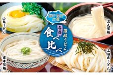 【 小豆島 】「瀬戸・たかまつネットワーク」 うどん 食べ比べ セット さぬきうどん 饂飩 ウドン 麺 麺類 めん 国産 讃岐 さぬき 香川 香川県
