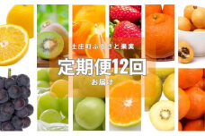【 小豆島 】土庄町 ふるさと果実 12回 定期便 フルーツ 果物 季節 旬 キウイ キウイフルーツ デコポン 柑橘 いちご 苺 イチゴ 甘夏柑 びわ みかん 蜜柑 シャイン マスカット ぶどう 葡萄 くだもの 国産 香川 香川県 土庄 土庄町