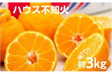 【 小豆島 】 ハウス 不知火 約3kg 化粧箱 しらぬい 柑橘 果物 フルーツ くだもの 国産 香川 香川県 土庄 土庄町