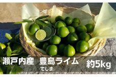 【 小豆島 】 瀬戸内産 豊島ライム 約5kg 柑橘 爽やか 豊島 瀬戸内 香川 香川県 土庄 土庄町