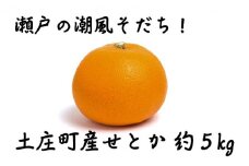 【 小豆島 】小豆島せとか 約5kg 柑橘 果物 せとか フルーツ ジューシー フレッシュ くだもの 国産 香川 香川県 土庄 土庄町