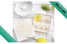 【 小豆島 】カモメサンボン3箱セット 干菓子 菓子 和三盆 カモメ かもめ レモン 檸檬 贈り物 ギフト 豊島 讃岐 さぬき 香川 香川県 土庄 土庄町