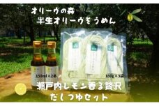 【 小豆島 】オリーヴの森 半生オリーヴそうめんと瀬戸内レモン香る 贅沢だしつゆセット 半生 そうめん 素麺 麺 麺類 レモン 檸檬 爽やか オリーブ だしつゆ ヘルシー 健康 国産 香川 香川県 土庄 土庄町
