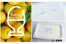 【 小豆島 】 豊島レモン アイスクリーム 2L 業務用 檸檬 レモン アイス 爽やか 大容量 たっぷり おやつ 軽食 デザート 豊島 香川 香川県 土庄 土庄町