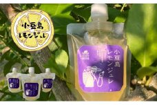 【 小豆島 】小豆島レモンジュレ 檸檬 レモン ジュレ ゼリー 爽やか 手作り おやつ 軽食 デザート 香川 香川県 土庄 土庄町