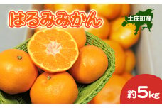 【 小豆島 】 はるみみかん 約5kg 柑橘 みかん ミカン 蜜柑 はるみ 果物 フルーツ ジューシー くだもの 国産 香川 香川県 土庄 土庄町