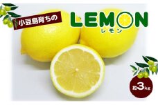 【 小豆島 】小豆島育ちのレモン 約3kg 檸檬 レモン 柑橘 果物 フルーツ 爽やか くだもの 国産 香川 香川県 土庄 土庄町
