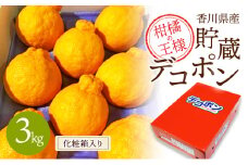 【県共通返礼品】貯蔵デコポン　約3kg化粧箱