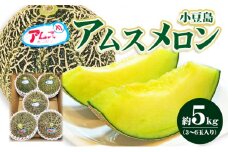【 小豆島 】小豆島 アムスメロン 約5kg 果物 フルーツ メロン めろん くだもの 国産 香川 香川県 土庄 土庄町