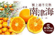 【 小豆島 】 南津海 （ なつみ ） みかん 約5kg 柑橘 ミカン 果物 フルーツ  越冬 完熟 くだもの 国産 香川 香川県 土庄 土庄町