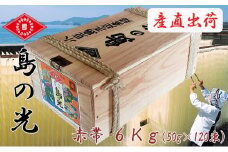 【 小豆島 】【お中元】島の光　手延素麺6kg　そうめん 小豆島 