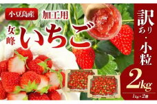 【 小豆島 】＜訳あり・小粒＞小豆島産　加工用いちご×2箱