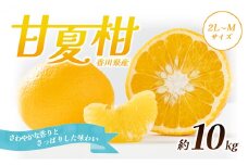 【 小豆島 】 甘夏柑 約10kg 柑橘 あまなつかん 果物 フルーツ 爽やか さっぱり くだもの 国産 香川 香川県 土庄 土庄町 