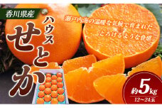 【 小豆島 】 ハウスせとか 約５kg 柑橘 せとか 瀬戸香 ハウス 果物 フルーツ くだもの 瀬戸内 くだもの 国産 香川 香川県 土庄 土庄町 