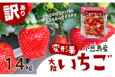 【 小豆島 】【配送エリア限定商品】＜ 訳あり ・ 大粒 ＞ 小豆島産 変形果いちご 1.4kg いちご 苺 イチゴ 女峰 女峰いちご 変形 果物 フルーツ くだもの 香川 香川県 土庄 土庄町