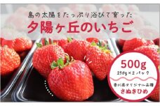【 小豆島 】小豆島夕陽ヶ丘 いちご 2パック入り さぬきひめ 苺 イチゴ 果物 フルーツ 香川 香川県 土庄 土庄町